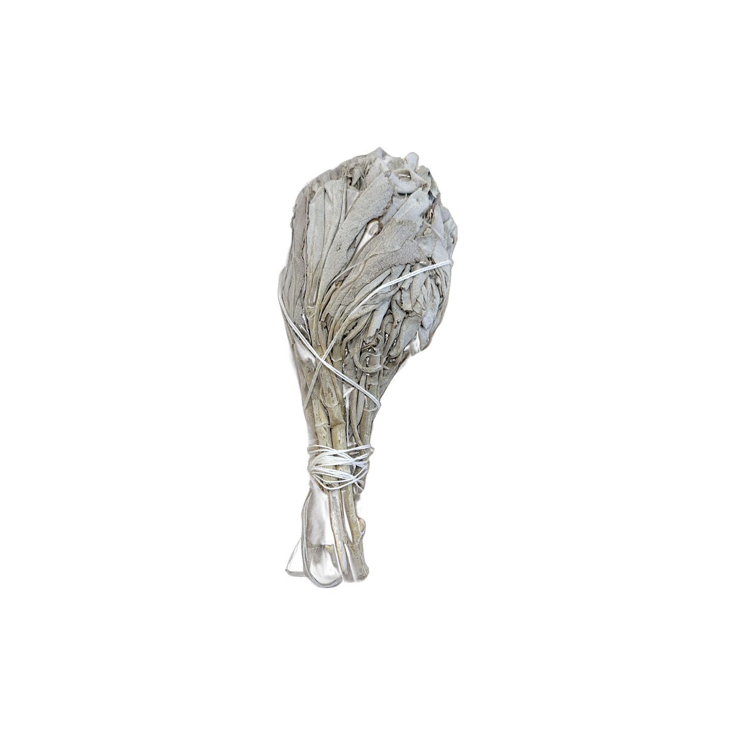 Sage Smudge Stick