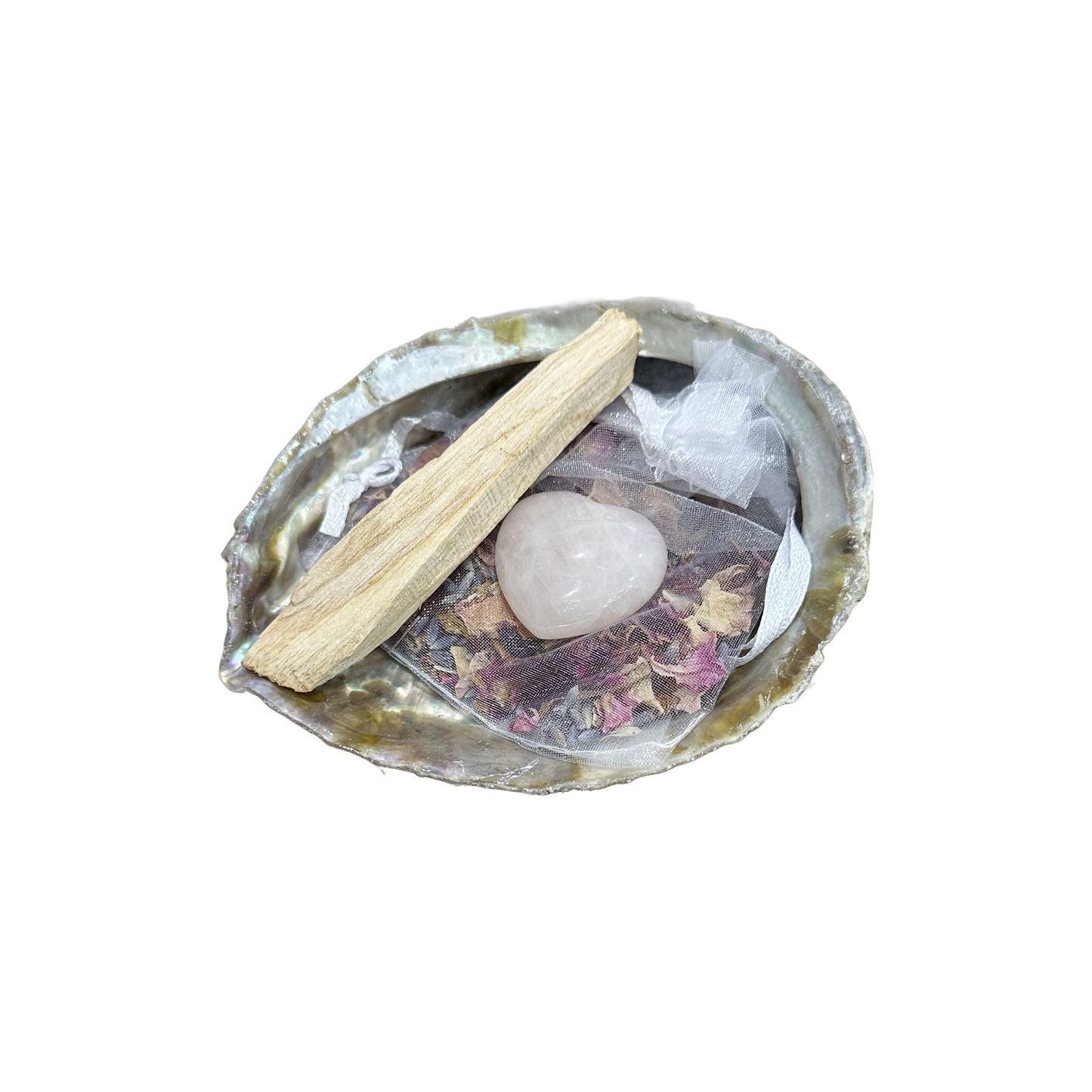 Ceremonial Abalone Shell Kit