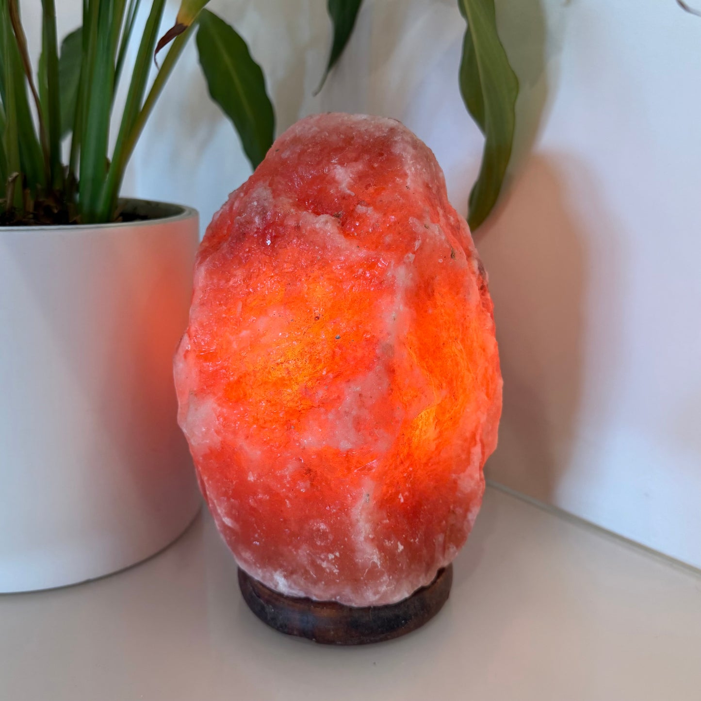 Himalayan Salt Lamp with Dimmer Switch & Light Bulb