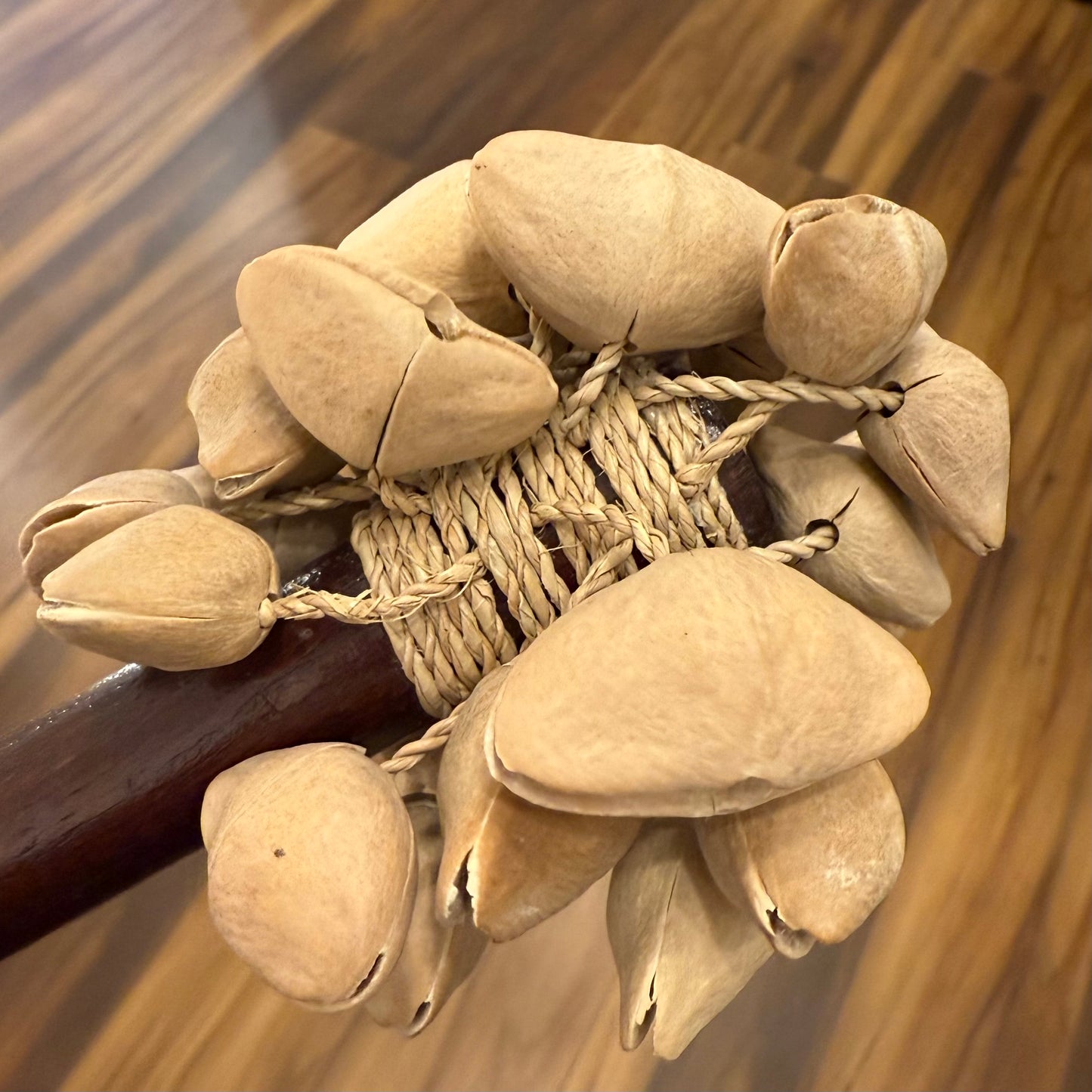 Kenari Seed Rattle