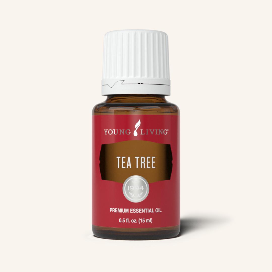 Tea Tree (Melaleuca Alternifolia) Essential Oil - 15ml